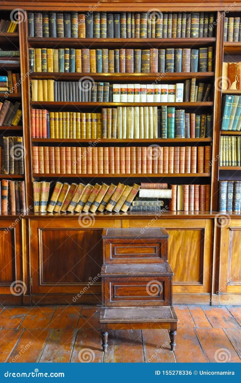 Shelf Life: The Quiet Obsessives Hoarding Knowledge the Rest of Us Threw Away